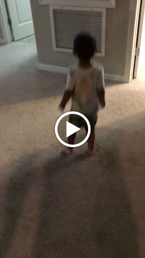 Discount Store «Dollar General», reviews and photos, 12909 N 56th St, Temple Terrace, FL 33617, USA