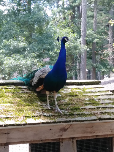 Pet Supply Store «PetSmart», reviews and photos, 88 Shops at 5 Way, Plymouth, MA 02360, USA