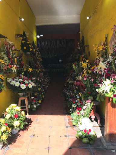 Florería Lalo – Silao