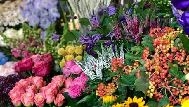 Reviews of Pollination in Edinburgh - Florist
