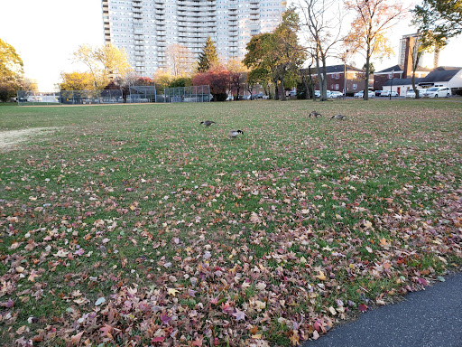 Park «Constitution Park», reviews and photos, Fletcher Ave & Lewis St, Fort Lee, NJ 07024, USA