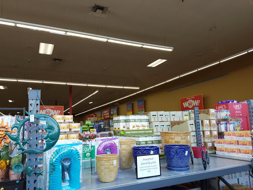 Grocery Store «Grocery Outlet Bargain Market», reviews and photos, 8221 Martin Way E, Lacey, WA 98516, USA