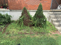 JC's Landscaping & Home Improvement - Photo 4 - Car repair in , Baltimore