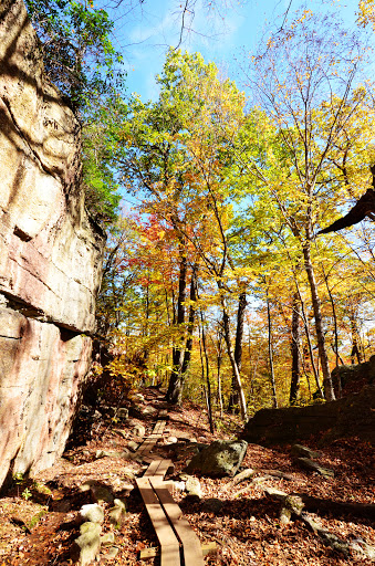 Tourist Attraction «Ice Caves», reviews and photos, Sams Point Rd, Pine Bush, NY 12566, USA