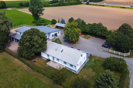 Drs. Eberhard & Claudia Adamo - Tierarzt für Pferde und Kleintiere in Elchingen unter Elchingen, Bayern