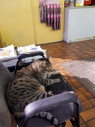 Car Repair and Maintenance «Midas», reviews and photos, 13745 E 14th St, San Leandro, CA 94578, USA