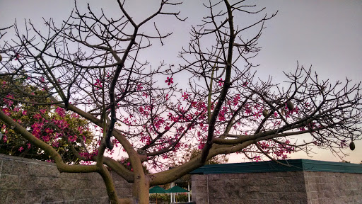 Park «Mike Ward Community Park Woodbridge», reviews and photos, 20 Lake Rd, Irvine, CA 92604, USA