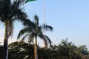 Indian National Flag image