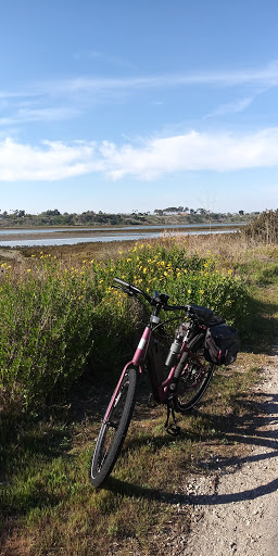 Bicycle Store «Pedego Electric Bikes Irvine», reviews and photos, 4632 Barranca Pkwy, Irvine, CA 92604, USA