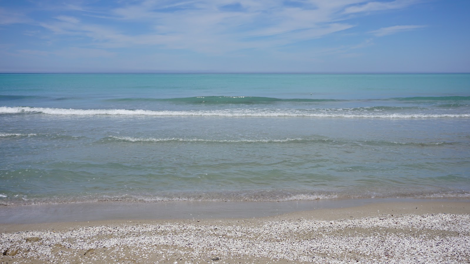 Alau beach的照片 野外区域