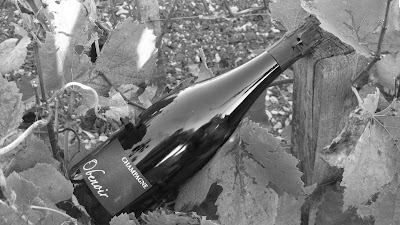 Champagne Pascal Manchin à Les Riceys