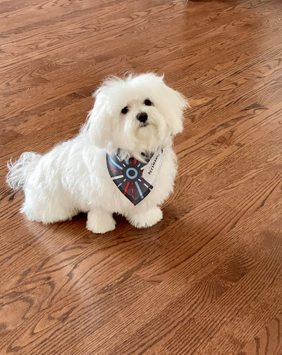 Pet Supply Store «PetSmart», reviews and photos, 3111 111th St, Naperville, IL 60564, USA