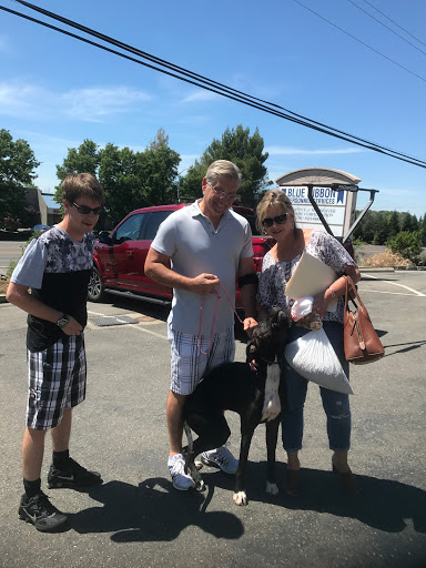 1 Love Dog Rescue image