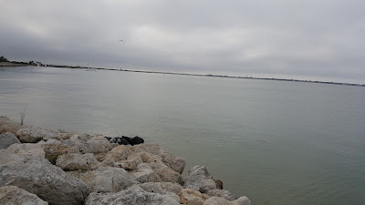 Plage de la Chargé Neuve à La Couarde-sur-Mer