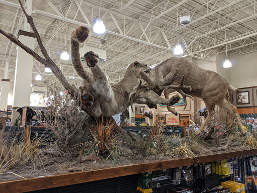 Cabelas image 3