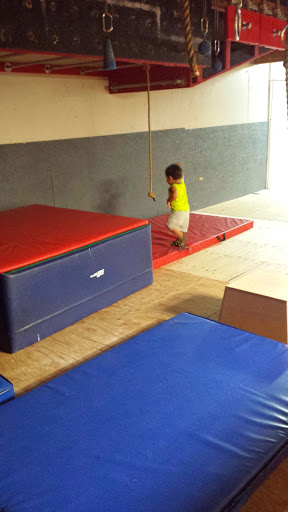 Physical Fitness Program «APEX Movement NorCal», reviews and photos, 930 Detroit Ave a, Concord, CA 94518, USA