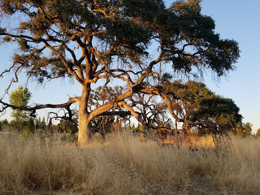 Hiking area Roseville