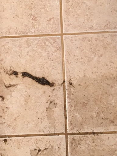 Carpet Cleaning Service «TLC Carpet and Upholstery Cleaning», reviews and photos, 6380 W 10th St #7, Greeley, CO 80634, USA