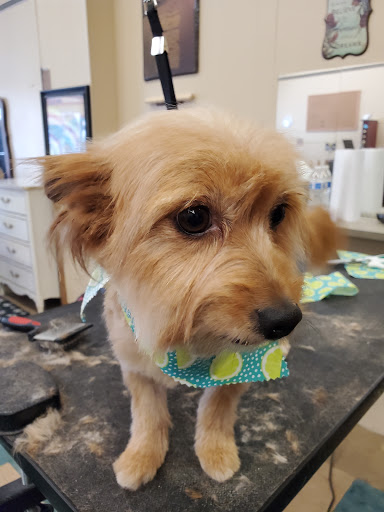 Happy Paws Grooming Salon