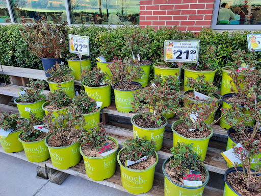 Grocery Store «Market Basket», reviews and photos, 301 Constitution Ave, Littleton, MA 01460, USA