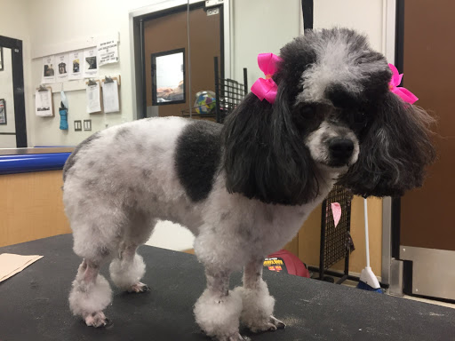 Pet Supply Store «Petsense Foley», reviews and photos, 2139 S McKenzie St, Foley, AL 36535, USA