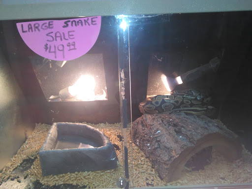 Pet Store «Fish Bowl», reviews and photos, 2117 E Race Ave, Searcy, AR 72143, USA