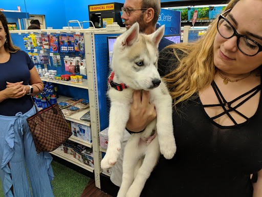 Pet Supply Store «Pet Supermarket», reviews and photos, 4500 N State Rd 7, Pompano Beach, FL 33073, USA
