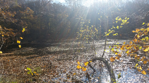 Nature Preserve «Westmoreland Sanctuary», reviews and photos, 260 Chestnut Ridge Rd, Mt Kisco, NY 10549, USA
