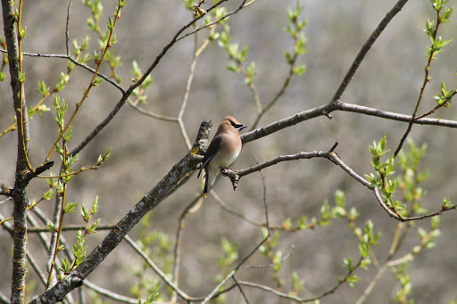 Park «Commonwealth Lake Park», reviews and photos, SW Butner Rd & SW Huntington Ave, Cedar Hills, OR 97225, USA