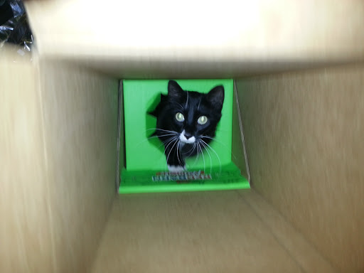 Pet Supply Store «Park Feed Store & Pet Supply», reviews and photos, 5775 Park Blvd N, Pinellas Park, FL 33781, USA