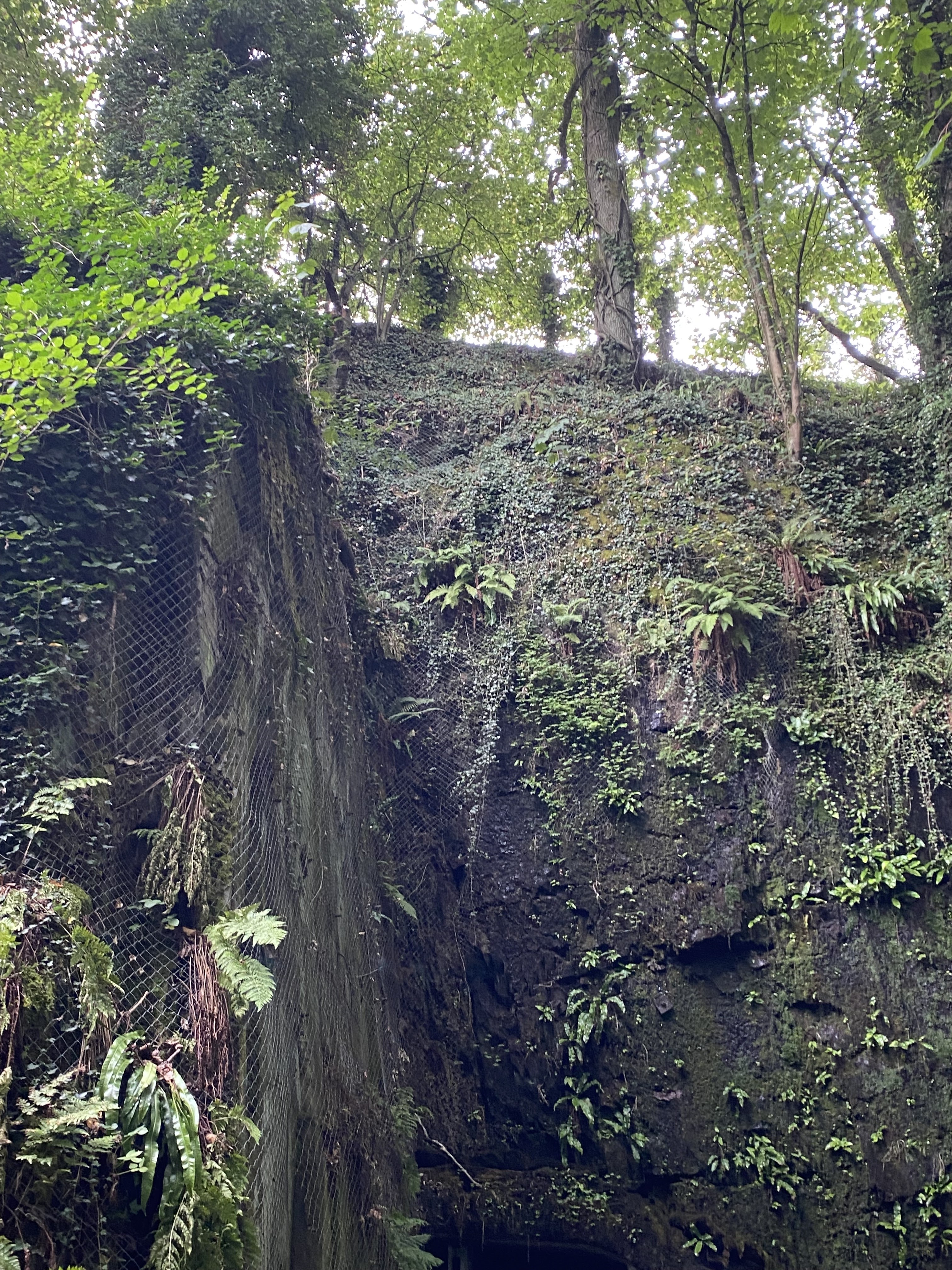 Photo n° 1 de l'avis de TGP_Marie. fait le 23/08/2022 à 20:37