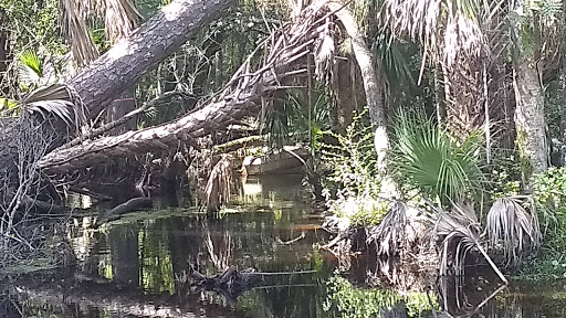 Nature Preserve «Scottsmoor Flatwoods Sanctuary East», reviews and photos, 6000 Magoon Ave, Mims, FL 32754, USA