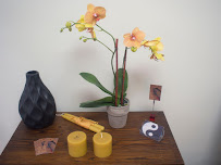 Patricia Pilot Acupuncturist - Photo 4 - Car repair in Santa Barbara, CA, Santa Barbara