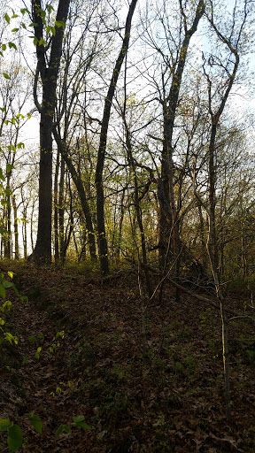 Country Club «Meadow Brook Club», reviews and photos, Cedar Swamp Rd, Jericho, NY 11753, USA