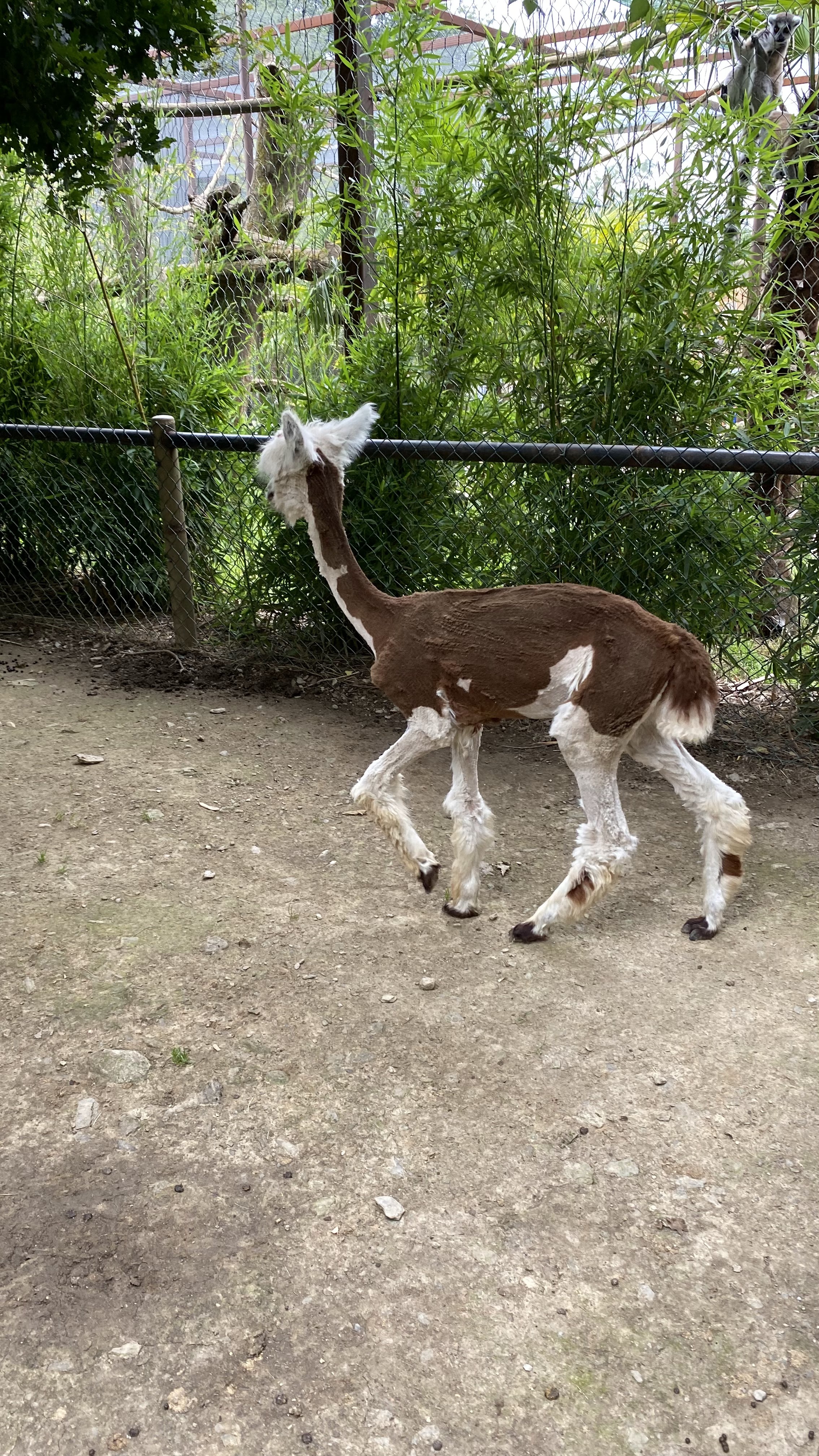Photo n° 14 de l'avis de Jérémie.o fait le 10/07/2021 à 20:40