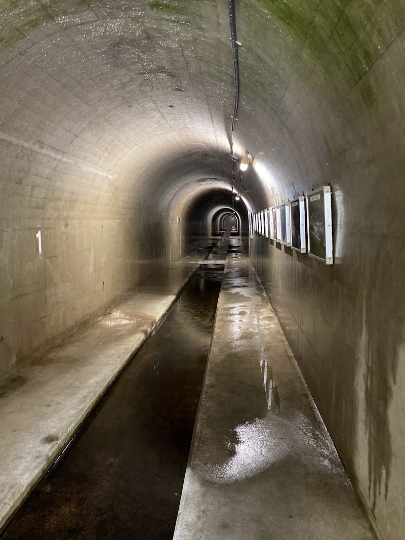 亀の瀬1号排水トンネル