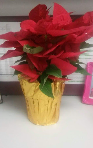 Stadium «The Palace of Auburn Hills», reviews and photos, 6 Championship Dr, Auburn Hills, MI 48326, USA