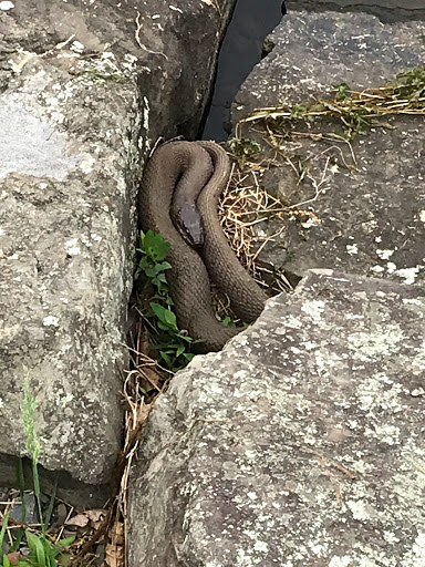 Park «Winding Hills Park», reviews and photos, 2 Old Rte 17K, Montgomery, NY 12549, USA