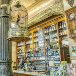 Photo n°1 de l'avis de Claudio.o fait le 31/10/2019 à 23:54 sur le  Caffè Meletti à Ascoli Piceno