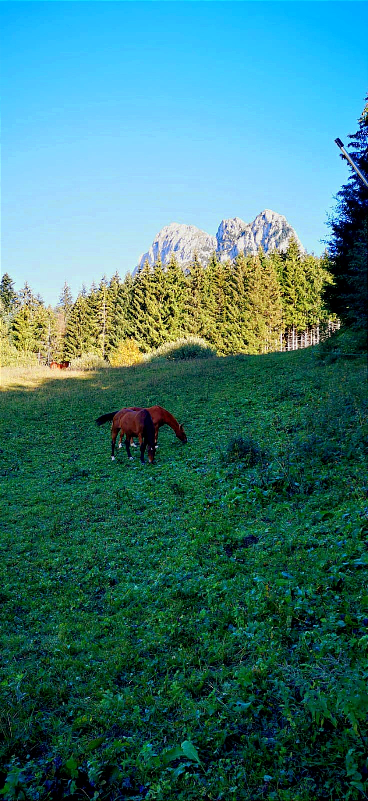 Photo n° 5 de l'avis de Sebastien.i fait le 26/10/2023 à 07:46