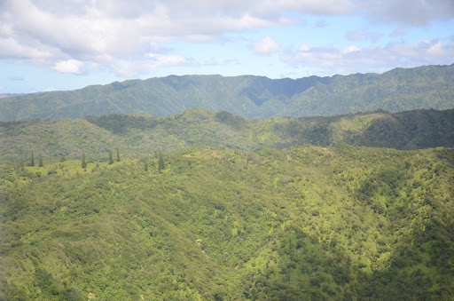 Supermarket «Everest Supermarket», reviews and photos, 208 Churchmans Rd, New Castle, DE 19720, USA