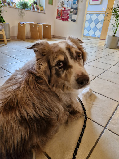 Tierarztpraxis Knolle unter Rehburg-Loccum, Niedersachsen