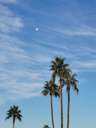 Park «Lookout Mountain Preserve», reviews and photos, 15800 N 16th St, Phoenix, AZ 85022, USA