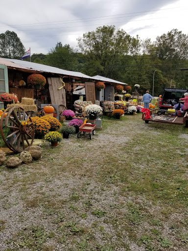 Flea Market «Olde Tyme Flea Market», reviews and photos, 5400 State Rd 46, Nashville, IN 47448, USA