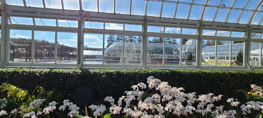 Gift Shop «NYBG Shop», reviews and photos, 2900 Southern Blvd, Bronx, NY 10458, USA