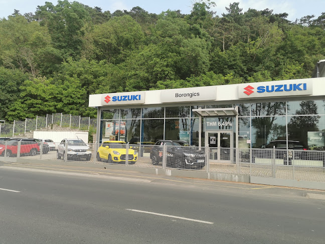 Suzuki MÁRKAKERESKEDÉS - SZERVIZ - Borongics Kft - Balatonboglár