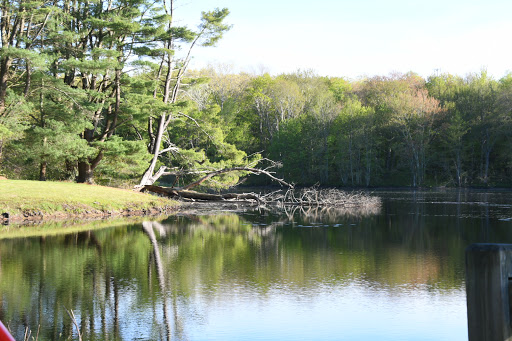 Window Installation Service «Window World of Connecticut», reviews and photos