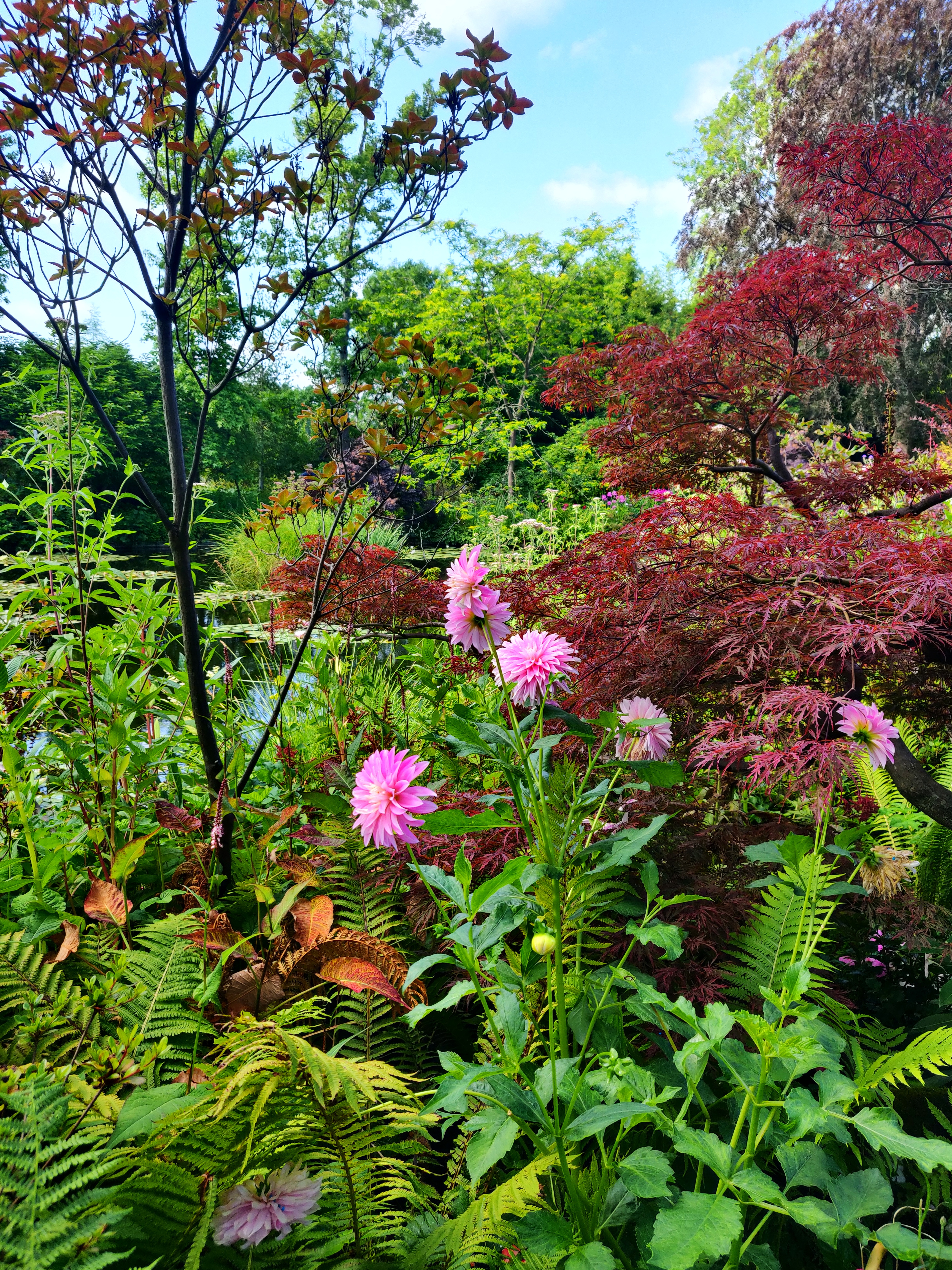 Photo n° 2 de l'avis de Chloé.o fait le 09/08/2023 à 10:34