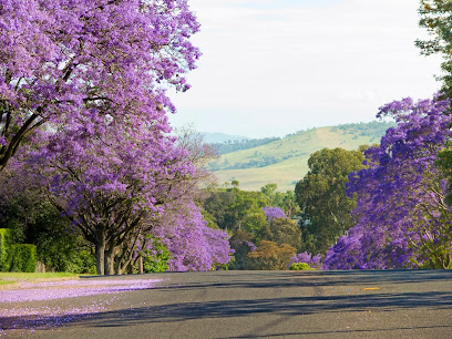 Muswellbrook Shire Council