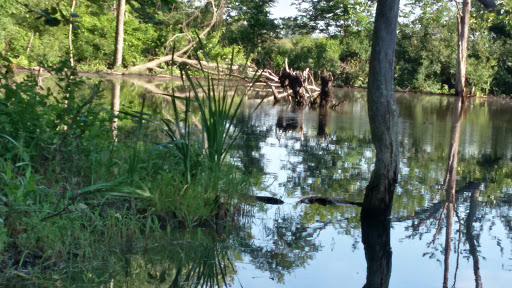 Hiking Area «Den Rock Park», reviews and photos, Stirling St, Andover, MA 01810, USA